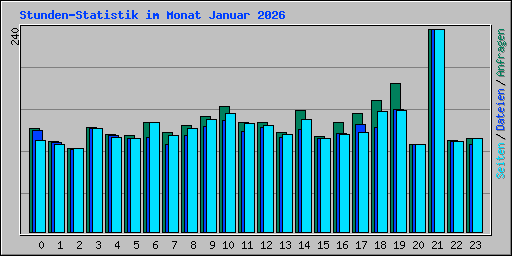 Stunden-Statistik im Monat Januar 2026